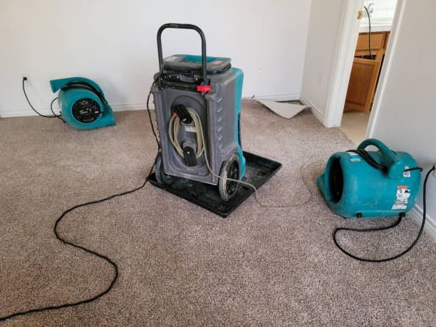 Best Sewage cleanup and water damage restoration  in Mccordsville, IN
