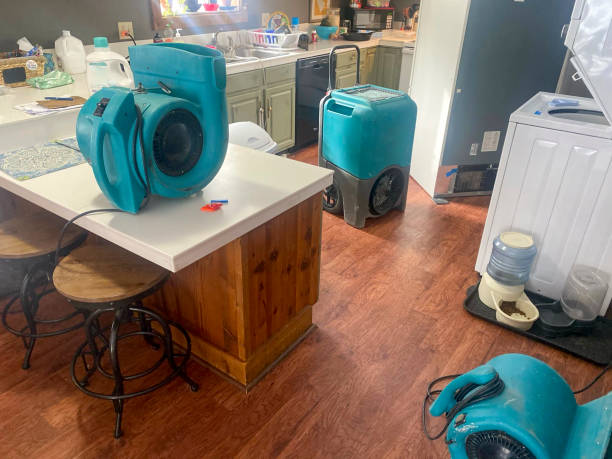 Best 24-hour water damage restoration  in Mccordsville, IN