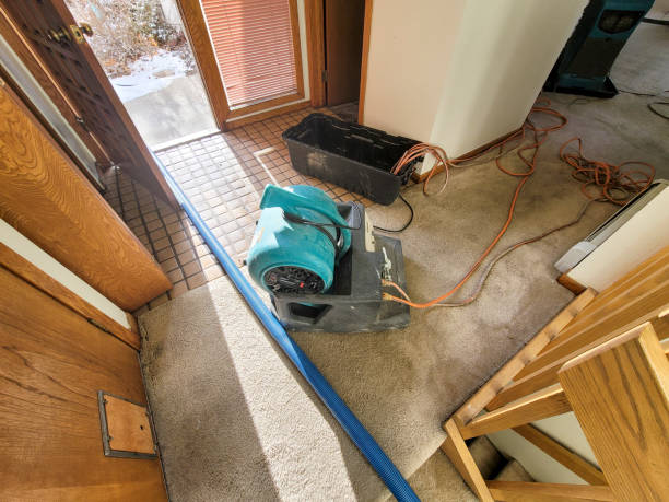 Water damage restoration insurance claims in Mccordsville, IN