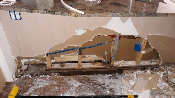 Best 24/7 water damage repair  in Mccordsville, IN