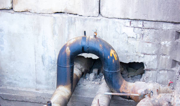 Best Mold removal after water damage  in Mccordsville, IN